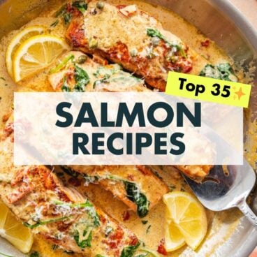 Salmon Recipes