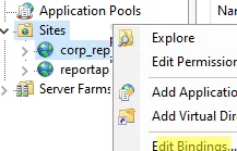 IIS website - edit bindings