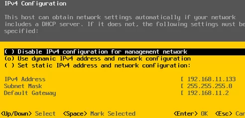 ipv4 configuration esxi