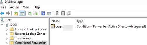 list conditional forwarding rules on DNS